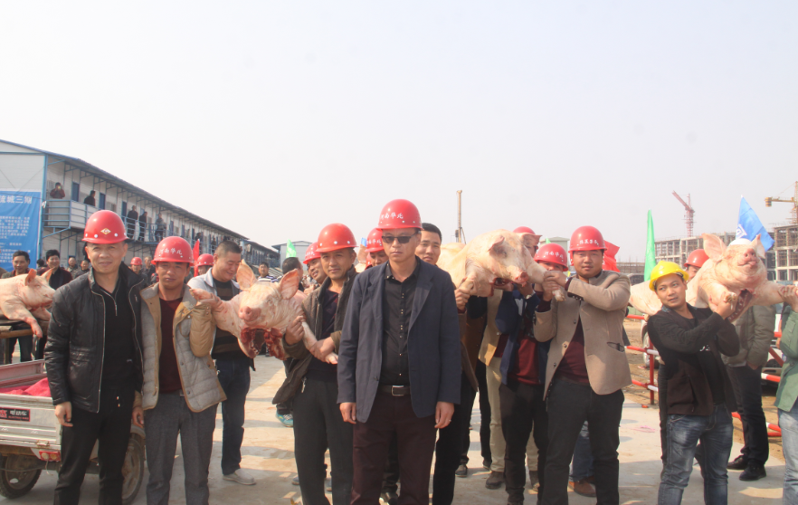 万邦公司三期干调、粮油市场举行隆重的封顶仪式(图9) 万邦公司三期干调、粮油市场举行隆重的封顶仪式(图9)