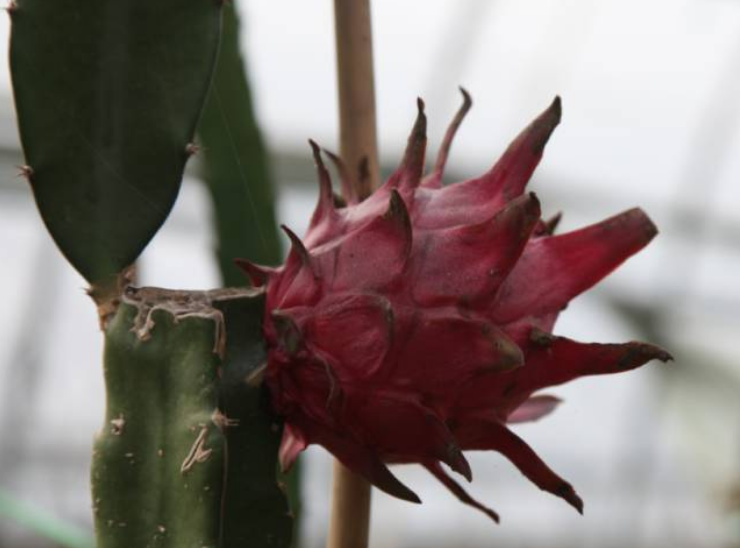 秋后的万邦千禾，依旧欣荣(图6)