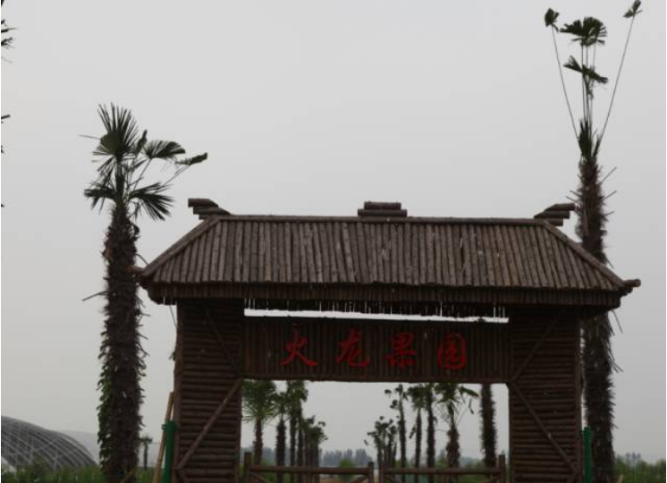 秋后的万邦千禾，依旧欣荣(图5)