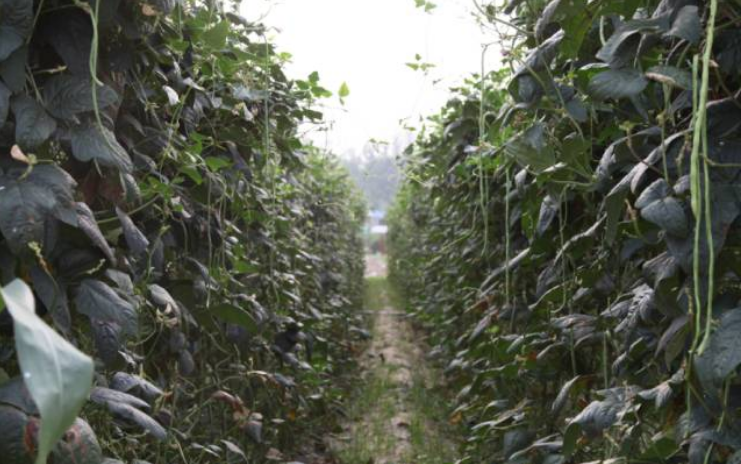 秋后的万邦千禾，依旧欣荣(图7)