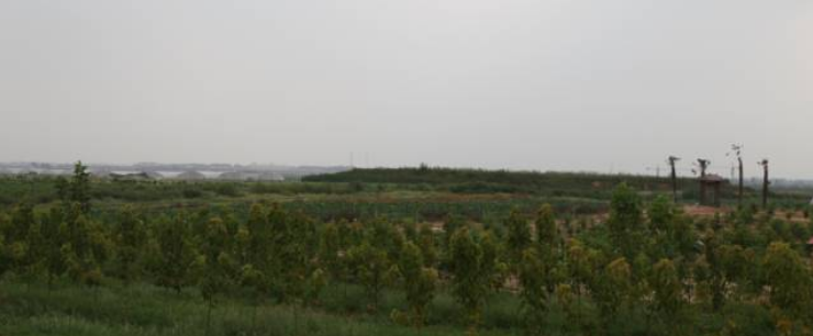 秋后的万邦千禾，依旧欣荣(图9)