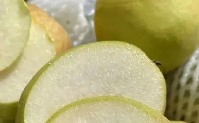 库尔勒香梨丨果中珍品，梨中王子(图4)