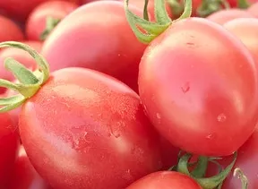 爆浆口感丨让你爱上千禧小番茄(图5)