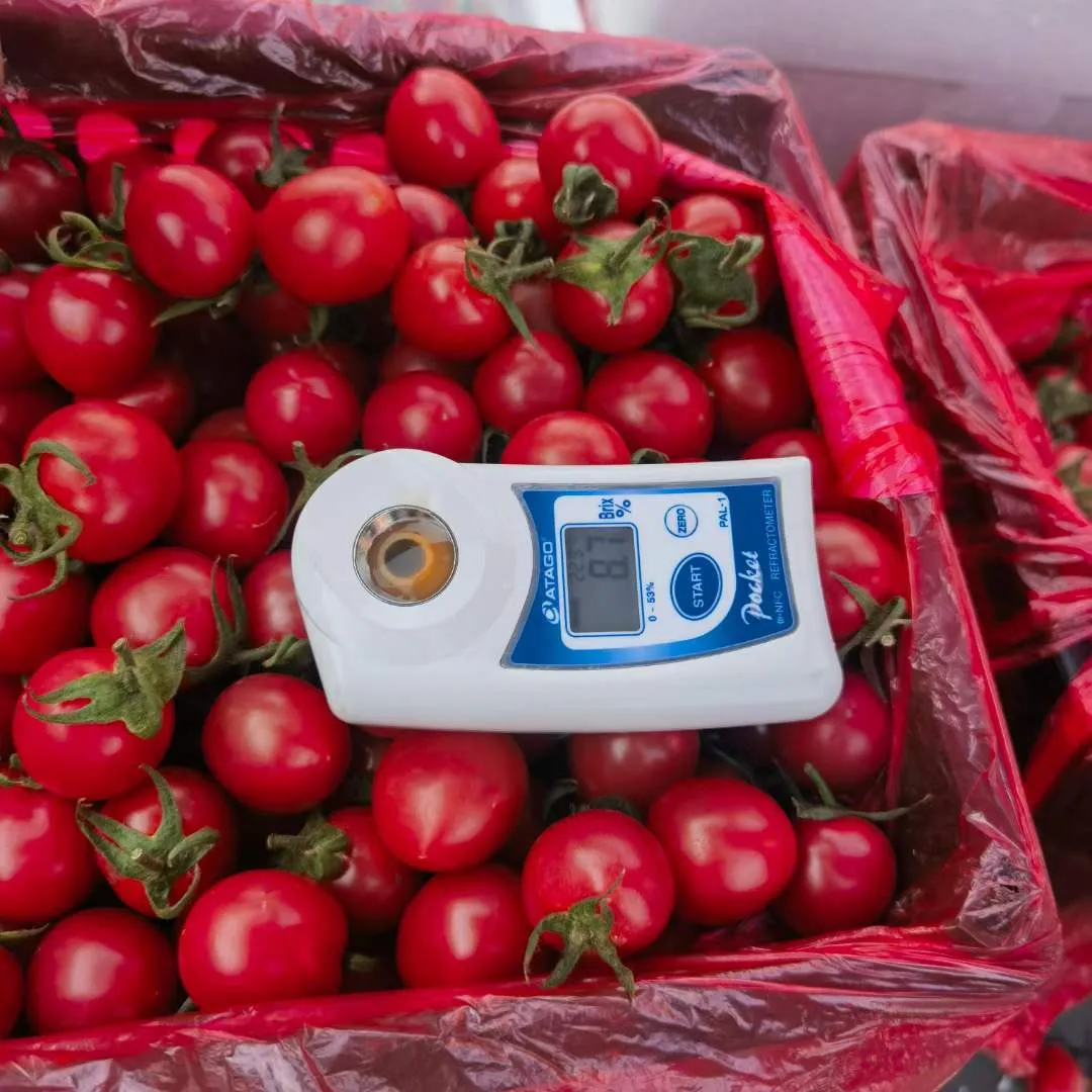 爆浆口感丨让你爱上千禧小番茄(图6)