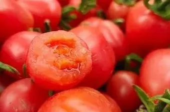 爆浆口感丨让你爱上千禧小番茄(图7)