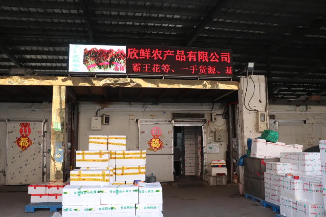 欣鲜农业丨满足市场多样化需求(图2)