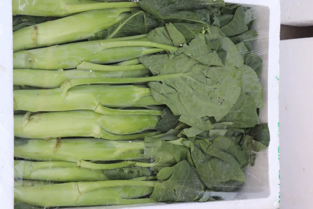 欣鲜农业丨满足市场多样化需求(图4)