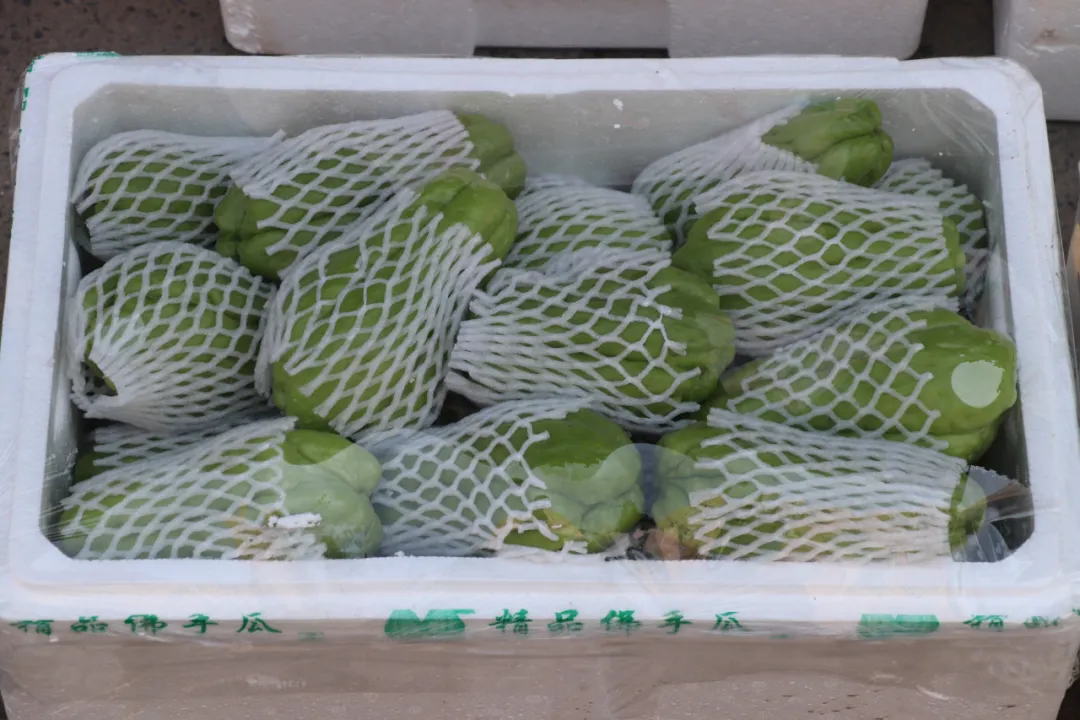 欣鲜农业丨满足市场多样化需求(图5)