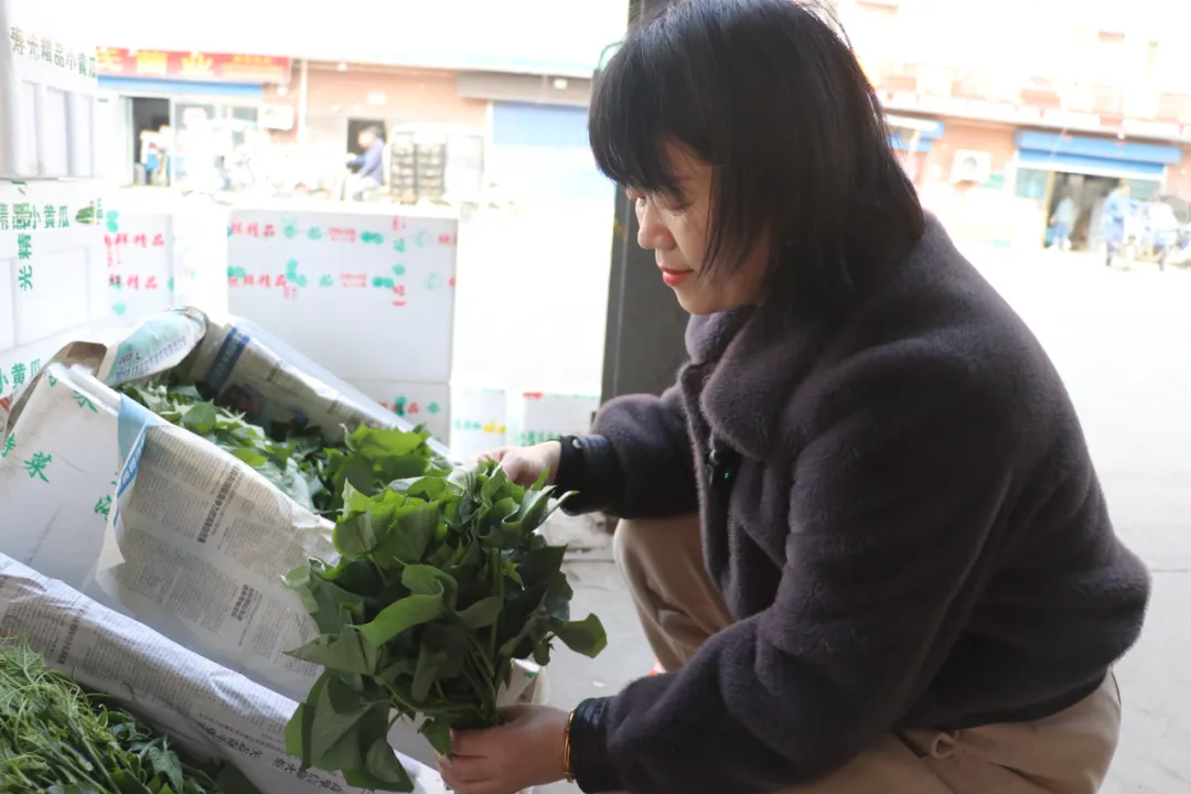 欣鲜农业丨满足市场多样化需求(图9)