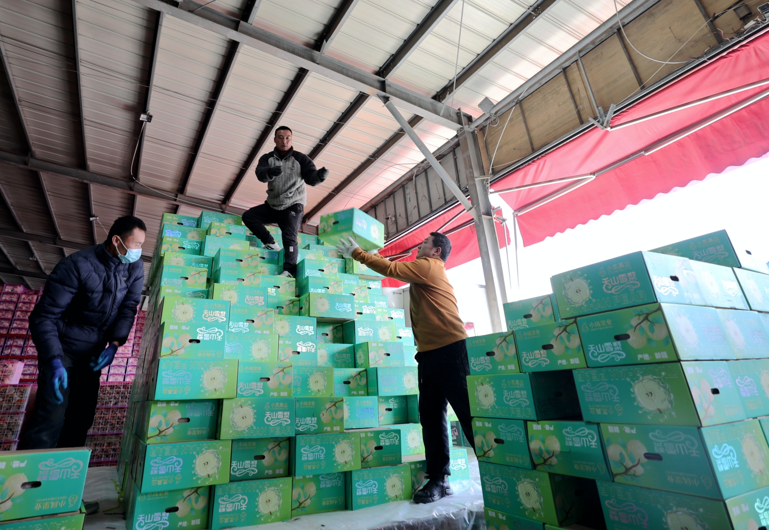 河南日报客户端报道：万邦：保障市场供应 稳住节日“菜篮子”(图5)